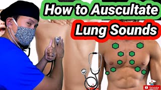 Lung Sounds and Lung Auscultation 101 [upl. by Harbed274]