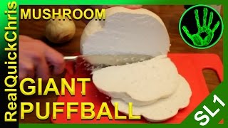 giant puffball mushroom to eat [upl. by Wharton530]