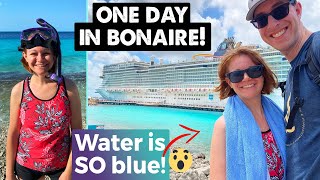 What to do for ONE DAY IN BONAIRE  Cruise Excursion Options [upl. by Enneira]