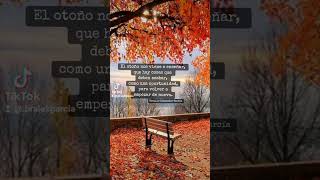 El otoño frases palabrasbonitas motivation otoño reels [upl. by Alair]