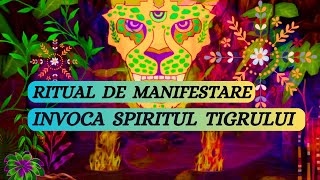 RITUAL DE MANIFESTARE A DORINTELORINVOCA SPIRITUL TIGRULUI  Detalii in descriere Theta 417hz [upl. by Clarence]