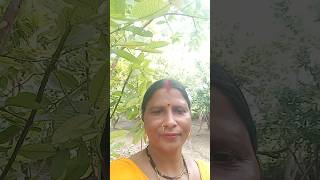 tere hi Naam se mujhkoshort videoYouTubeyoutube shortfilms somvati kevat [upl. by Siddra119]