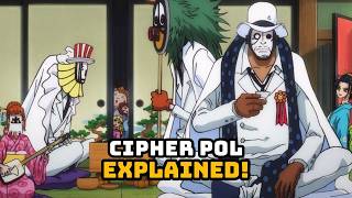 Cipher Pol Explained One Pieces Secret Intelligence Agency [upl. by Enomis]