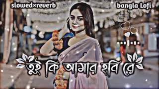 Tui Ki Amar Hobi Re  তুই কি আমার হবি রে  Bangla LoFi slowedreverbLerics Md king [upl. by Antonetta]