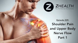 Shoulder Pain and Upper Body Nerve Flow Part 1 [upl. by Upali]