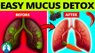 Top 10 Foods to Detox and Cleanse Mucus From Your Lungs [upl. by Sillihp]