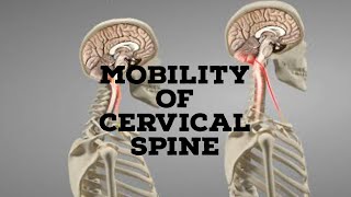 Mobility of cervical spine [upl. by Clementis]