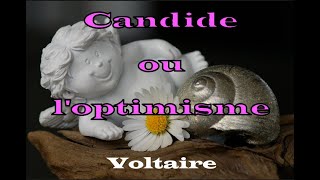 Voltaire  Candide ou loptimisme  chapitre 1 2 et 3  Livre Audio [upl. by Acilef]