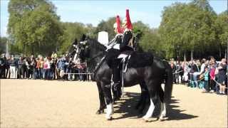 Changing the Guard  Horse behaving badly  Horse Guards Parade  Whitehall London [upl. by Florentia]