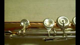 버카트14K Combi Flute 개봉기 [upl. by Hallock]