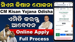 CM Kisan Yojana Online Apply Odisha  How To Apply CM Kisan Yojana Online 2024 Odia [upl. by Kirtley]