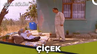 Çiçek  Kalp Gözü [upl. by Humble]