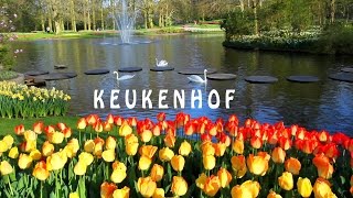 Keukenhof is de Tuin van Europa is een van de grootste bloementuin van de wereld Full HD [upl. by Tryck]