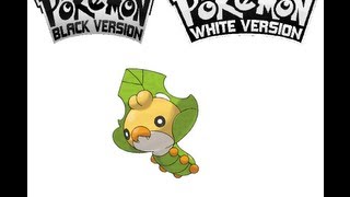 Pokemon BlackWhite  How to catch Sewaddle [upl. by Asirralc]