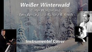 Weißer Winterwald  Instrumnetel Cover  Werner Dippon [upl. by Nomaid]