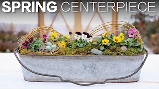 Spring Centerpiece  Garden Answer [upl. by Gusti]