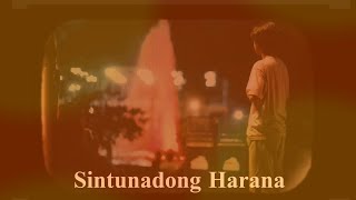 Kwarto ni Sol  Sintunadong Harana Official Lyrics Video [upl. by Vincenty]