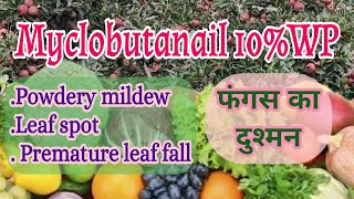 Myclobutanail 10WP Fungicide  Fungal diseases Apple Growers  bagwanikibaat [upl. by Gray]