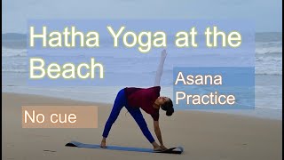 No cue Asana Practice  Hatha Yoga at the Beach  All Level Yoga Flow  ENERGIZING Everyday Yoga [upl. by Pendleton237]